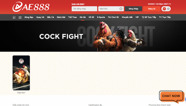 Đá gà online tại AE888 cực hấp dẫn